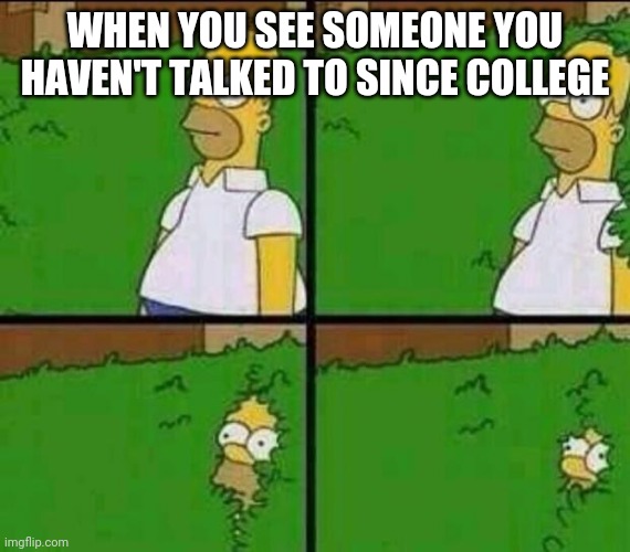Homer Simpson in Bush - Large | WHEN YOU SEE SOMEONE YOU HAVEN'T TALKED TO SINCE COLLEGE | image tagged in homer simpson in bush - large | made w/ Imgflip meme maker