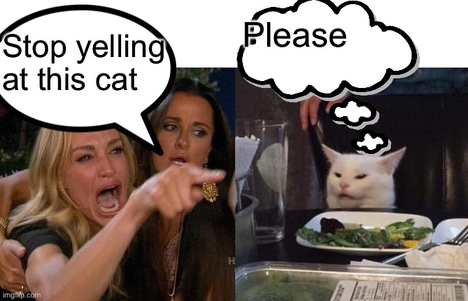 Woman Yelling At Cat | Please; Stop yelling at this cat | image tagged in memes,woman yelling at cat | made w/ Imgflip meme maker