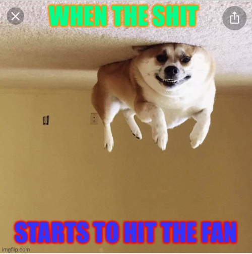 WHEN THE SHIT; STARTS TO HIT THE FAN | image tagged in funny,memes | made w/ Imgflip meme maker