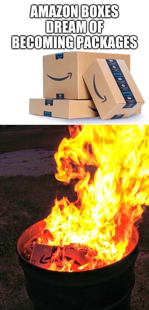 Amazon boxes dream of becoming packages Blank Meme Template