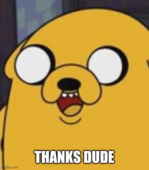 Jake The Dog Yeah Okay | THANKS DUDE | image tagged in jake the dog yeah okay | made w/ Imgflip meme maker