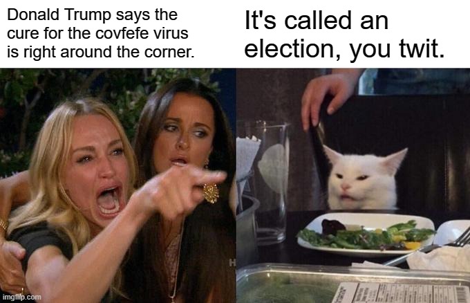 Woman Yelling At Cat Meme | Donald Trump says the cure for the covfefe virus is right around the corner. It's called an election, you twit. | image tagged in memes,woman yelling at cat | made w/ Imgflip meme maker