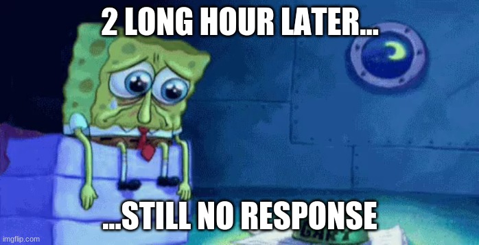2 LONG HOUR LATER... ...STILL NO RESPONSE | image tagged in sad but true,real life | made w/ Imgflip meme maker