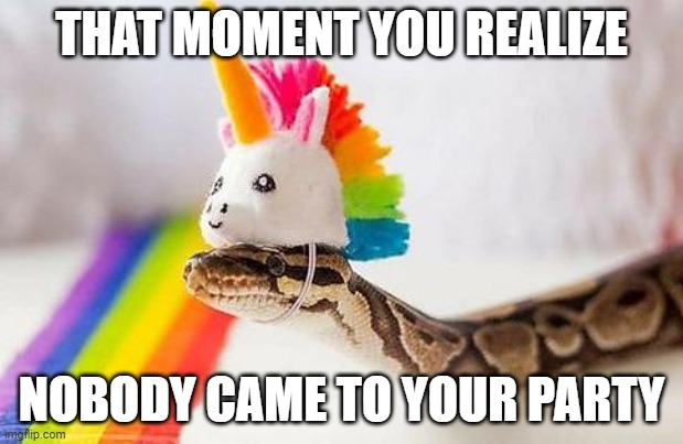 Snake with Unicorn Hat | THAT MOMENT YOU REALIZE; NOBODY CAME TO YOUR PARTY | image tagged in snake with unicorn hat | made w/ Imgflip meme maker