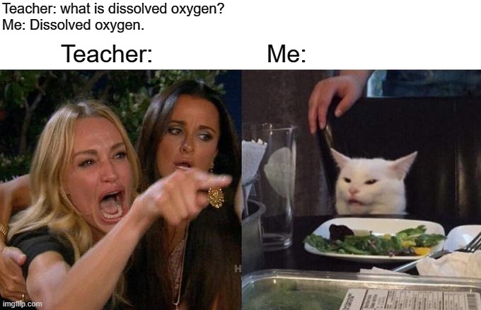Woman Yelling At Cat Meme | Teacher: what is dissolved oxygen?
Me: Dissolved oxygen. Teacher:                 Me: | image tagged in memes,woman yelling at cat | made w/ Imgflip meme maker