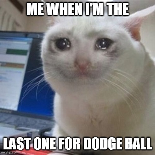 cryingcat | ME WHEN I'M THE; LAST ONE FOR DODGE BALL | image tagged in cryingcat | made w/ Imgflip meme maker