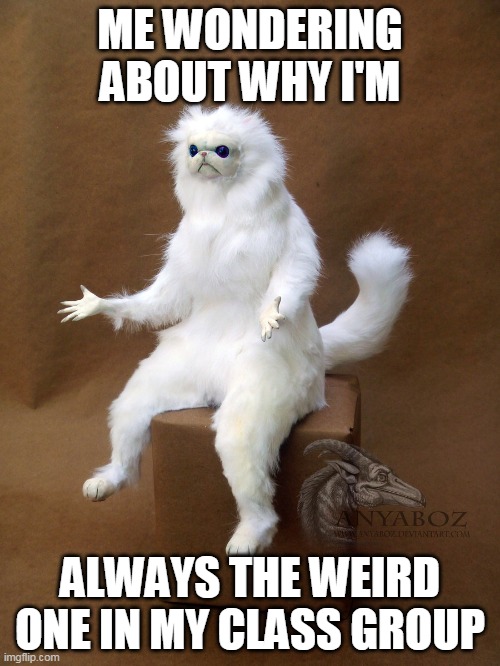 Persian Cat Room Guardian Single | ME WONDERING ABOUT WHY I'M; ALWAYS THE WEIRD ONE IN MY CLASS GROUP | image tagged in memes,persian cat room guardian single | made w/ Imgflip meme maker