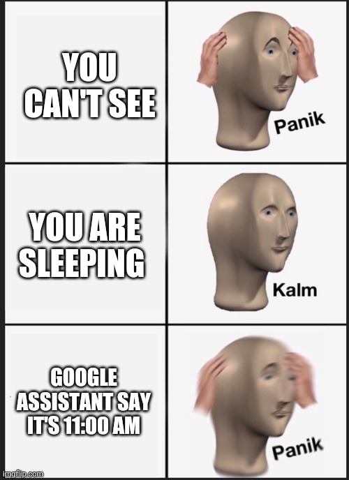 Panik Kalm Panik | YOU CAN'T SEE; YOU ARE SLEEPING; GOOGLE ASSISTANT SAY IT'S 11:00 AM | image tagged in panik kalm | made w/ Imgflip meme maker