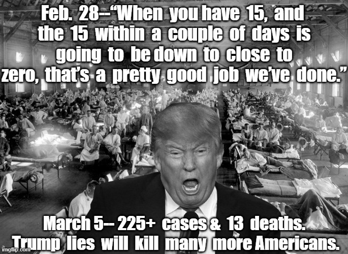 Trump Pandemic Mass Deaths | Feb.  28--“When  you have  15,  and 
 the  15  within  a  couple  of  days  is 
 going  to  be down  to  close  to  zero,  that’s  a  pretty  good  job  we’ve  done.”; March 5-- 225+  cases &  13  deaths. 
Trump  lies  will  kill  many  more Americans. | image tagged in trump pandemic mass deaths | made w/ Imgflip meme maker