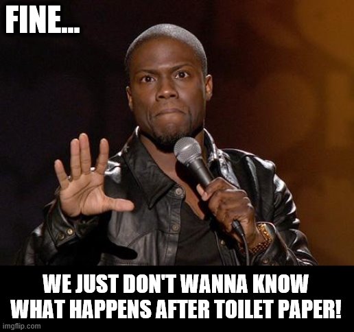 kevin hart | FINE... WE JUST DON'T WANNA KNOW WHAT HAPPENS AFTER TOILET PAPER! | image tagged in kevin hart | made w/ Imgflip meme maker