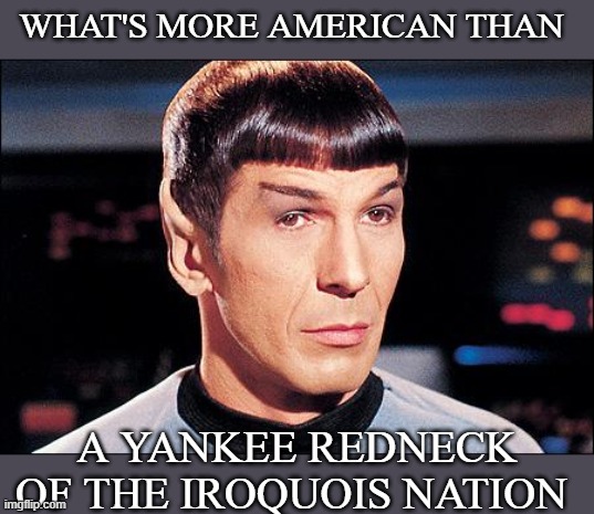 Condescending Spock | WHAT'S MORE AMERICAN THAN; A YANKEE REDNECK OF THE IROQUOIS NATION | image tagged in condescending spock | made w/ Imgflip meme maker