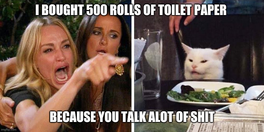 Smudge the cat | I BOUGHT 500 ROLLS OF TOILET PAPER; BECAUSE YOU TALK ALOT OF SHIT | image tagged in smudge the cat | made w/ Imgflip meme maker