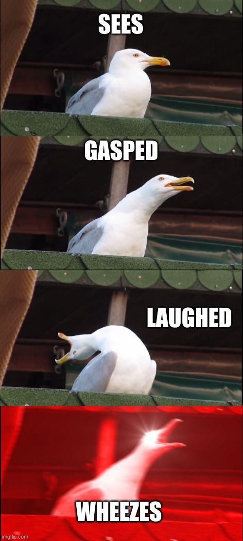 Inhaling Seagull | SEES; GASPED; LAUGHED; WHEEZES | image tagged in memes,inhaling seagull | made w/ Imgflip meme maker