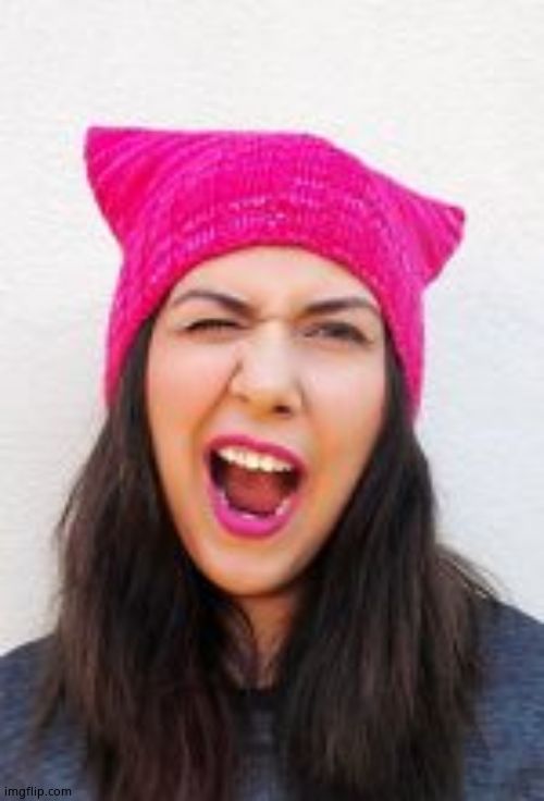 Pink pussy hat | image tagged in pink pussy hat | made w/ Imgflip meme maker