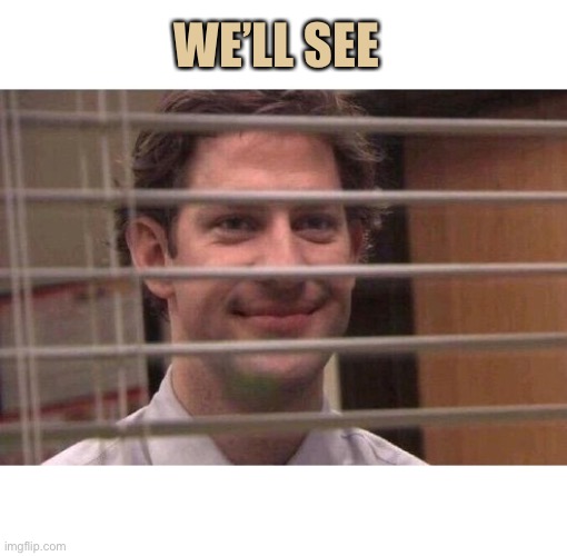 Jim Office Blinds | WE’LL SEE | image tagged in jim office blinds | made w/ Imgflip meme maker