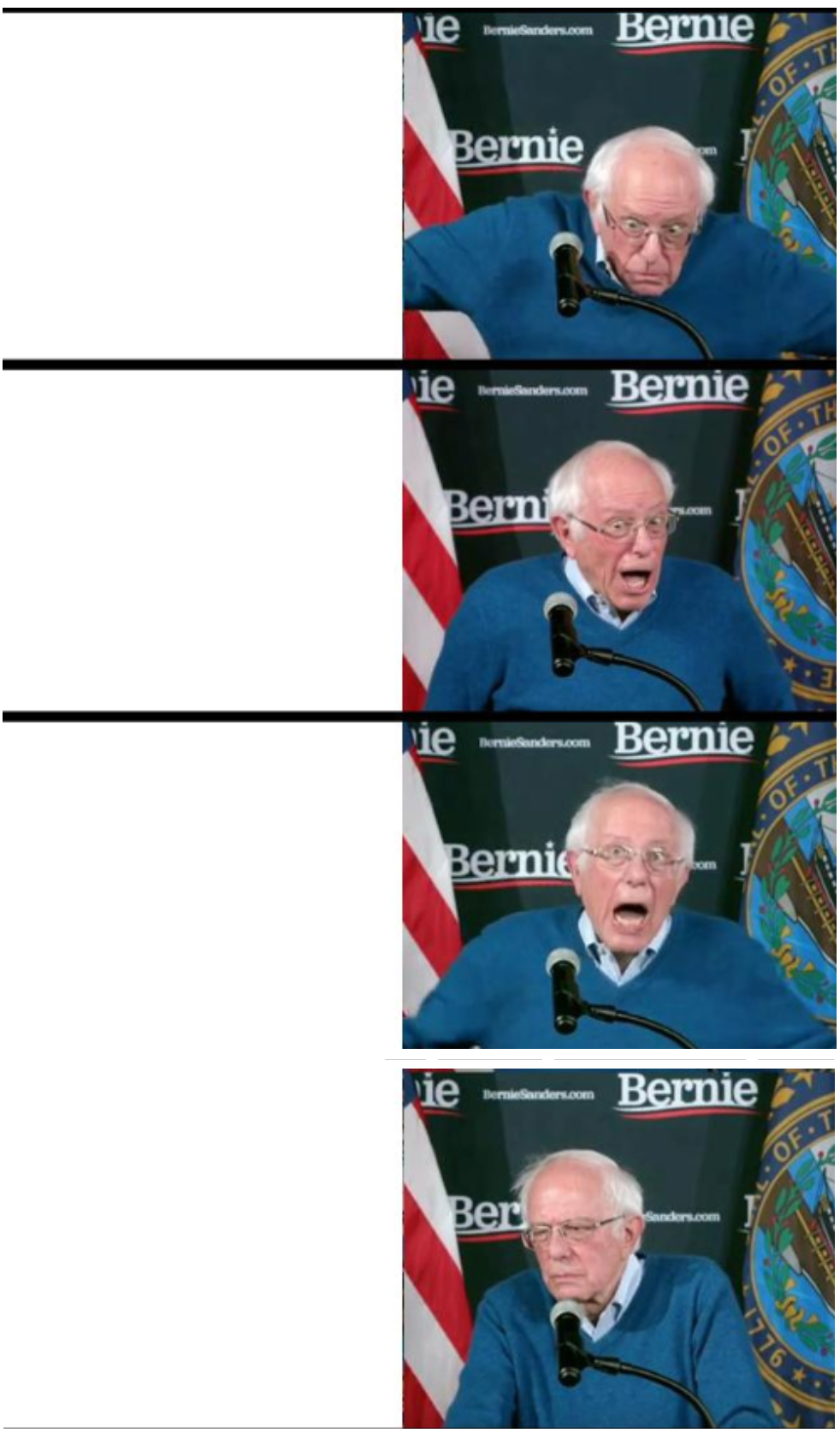 Inverted Bernie Sanders Blank Meme Template