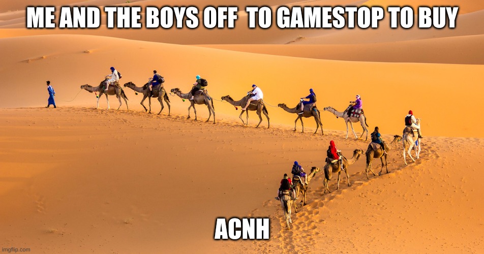 Me and the boys | ME AND THE BOYS OFF  TO GAMESTOP TO BUY; ACNH | image tagged in acnh,animal crossing,me and the boys | made w/ Imgflip meme maker