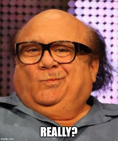 Bernie Danny devito | REALLY? | image tagged in bernie danny devito | made w/ Imgflip meme maker