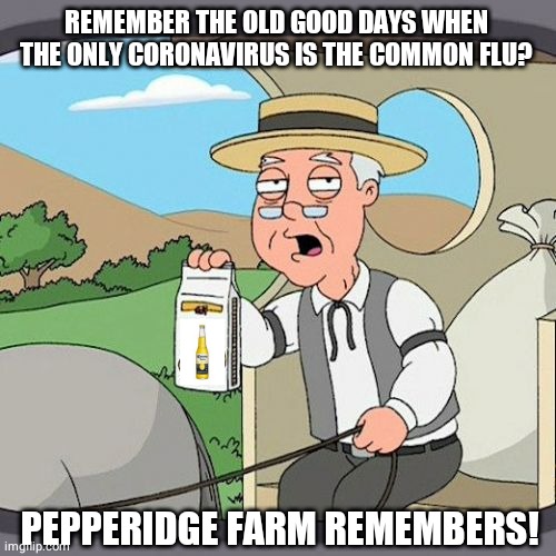 Pepperidge Farm Remembers | REMEMBER THE OLD GOOD DAYS WHEN THE ONLY CORONAVIRUS IS THE COMMON FLU? PEPPERIDGE FARM REMEMBERS! | image tagged in memes,pepperidge farm remembers | made w/ Imgflip meme maker