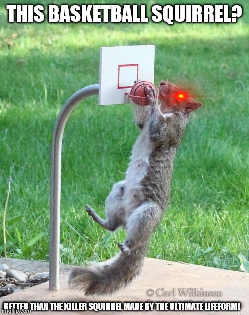 Squirrel basketball | THIS BASKETBALL SQUIRREL? BETTER THAN THE KILLER SQUIRREL MADE BY THE ULTIMATE LIFEFORM! | image tagged in squirrel basketball | made w/ Imgflip meme maker