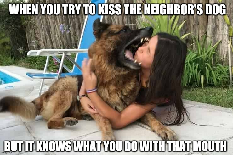 Dog bites hoe | WHEN YOU TRY TO KISS THE NEIGHBOR'S DOG; BUT IT KNOWS WHAT YOU DO WITH THAT MOUTH | image tagged in dog bites hoe | made w/ Imgflip meme maker