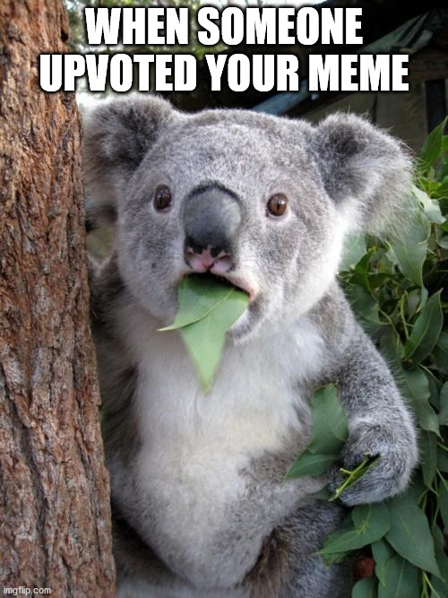 Surprised Koala | WHEN SOMEONE UPVOTED YOUR MEME | image tagged in memes,surprised koala | made w/ Imgflip meme maker