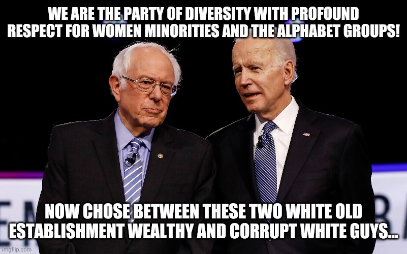 The Party That Hates Old White Rich Establishment Males and their remaining male-idates | WE ARE THE PARTY OF DIVERSITY WITH PROFOUND RESPECT FOR WOMEN MINORITIES AND THE ALPHABET GROUPS! NOW CHOSE BETWEEN THESE TWO WHITE OLD ESTABLISHMENT WEALTHY AND CORRUPT WHITE GUYS... | image tagged in losers,liberal hypocrisy,special kind of stupid,democrats,maga,president trump | made w/ Imgflip meme maker