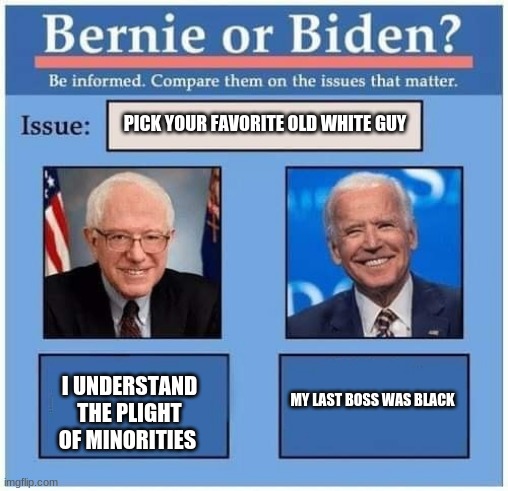 Come on America, you can do better than this | PICK YOUR FAVORITE OLD WHITE GUY; I UNDERSTAND THE PLIGHT OF MINORITIES; MY LAST BOSS WAS BLACK | image tagged in bernie or biden,come on america,pick a loser,never bernie,never biden,what diversity | made w/ Imgflip meme maker