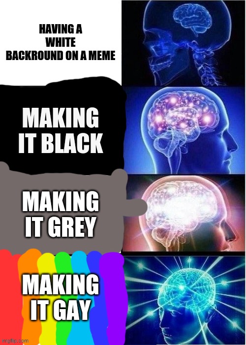 Expanding Brain Meme | HAVING A WHITE BACKROUND ON A MEME; MAKING IT BLACK; MAKING IT GREY; MAKING IT GAY | image tagged in memes,expanding brain | made w/ Imgflip meme maker