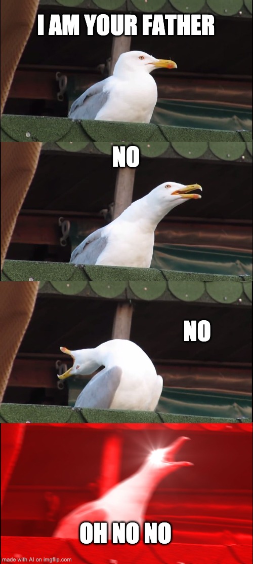 Inhaling Seagull Meme | I AM YOUR FATHER; NO; NO; OH NO NO | image tagged in memes,inhaling seagull | made w/ Imgflip meme maker