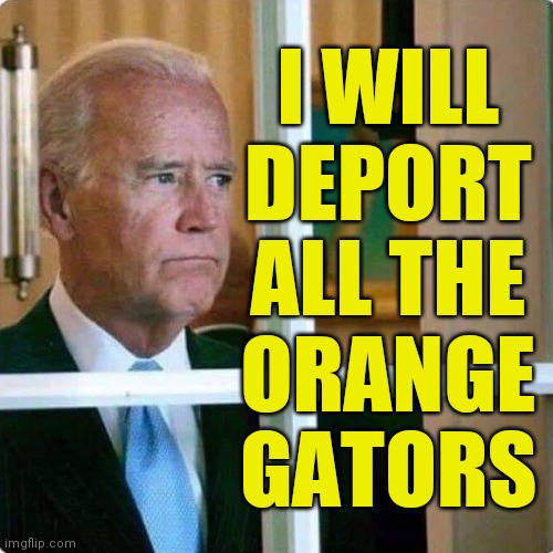 A Vote for Joe is a Vote for a Safer America! | I WILL
DEPORT
ALL THE
ORANGE
GATORS | image tagged in memes,biden,policies,freedom,safety,deorangification | made w/ Imgflip meme maker