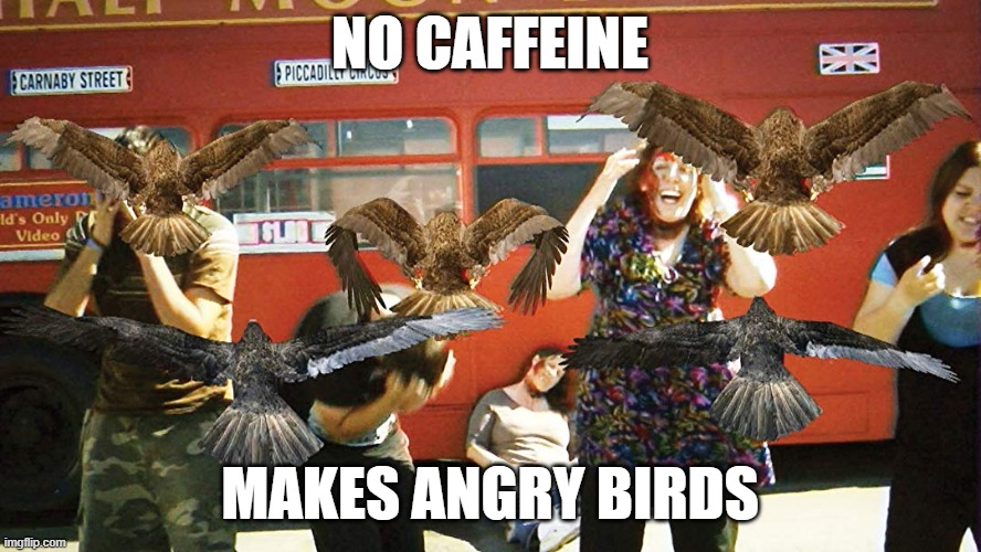 birdemicbirdsattack | NO CAFFEINE MAKES ANGRY BIRDS | image tagged in birdemicbirdsattack | made w/ Imgflip meme maker