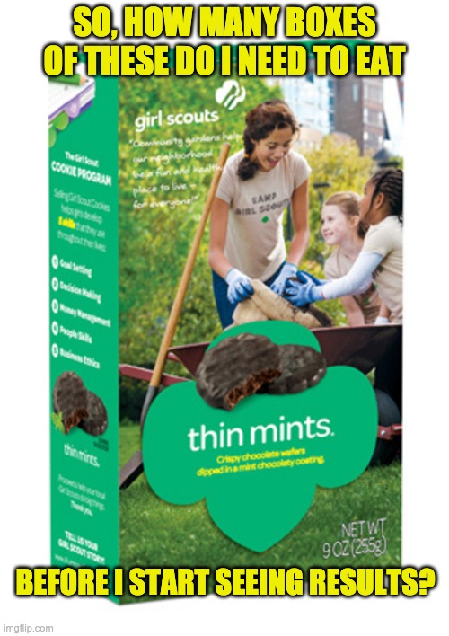 Thin mints? | SO, HOW MANY BOXES OF THESE DO I NEED TO EAT; BEFORE I START SEEING RESULTS? | image tagged in girl scout cookies | made w/ Imgflip meme maker