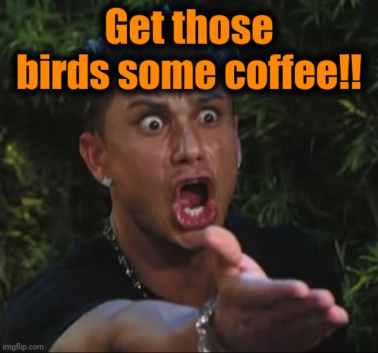 DJ Pauly D Meme | Get those birds some coffee!! | image tagged in memes,dj pauly d | made w/ Imgflip meme maker