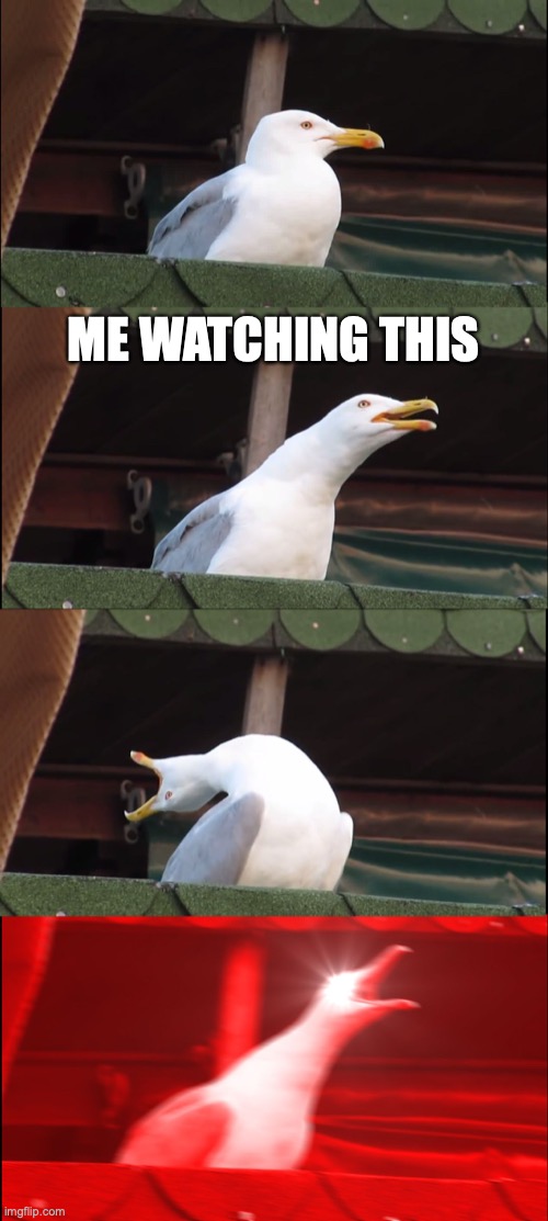ME WATCHING THIS | image tagged in memes,inhaling seagull | made w/ Imgflip meme maker
