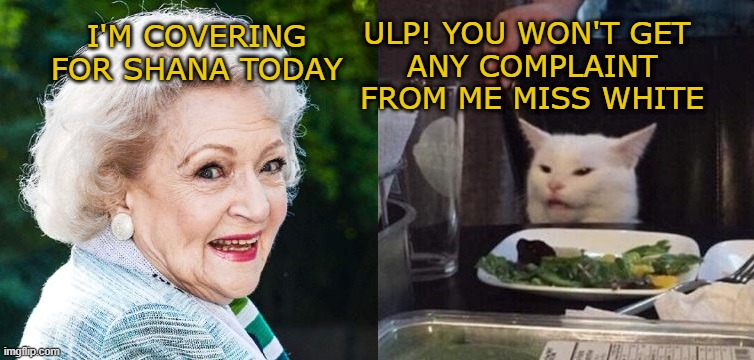 grumpy cat meets Betty White | I'M COVERING FOR SHANA TODAY; ULP! YOU WON'T GET 
ANY COMPLAINT FROM ME MISS WHITE | image tagged in betty white,grumpy cat,smudge the cat,woman yelling at a cat,golden girls,restaurant meme | made w/ Imgflip meme maker