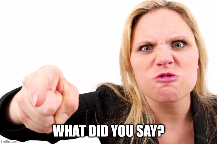 Offended woman | WHAT DID YOU SAY? | image tagged in offended woman | made w/ Imgflip meme maker