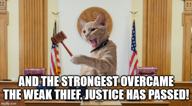 Judge Kitty | AND THE STRONGEST OVERCAME THE WEAK THIEF. JUSTICE HAS PASSED! | image tagged in judge kitty | made w/ Imgflip meme maker