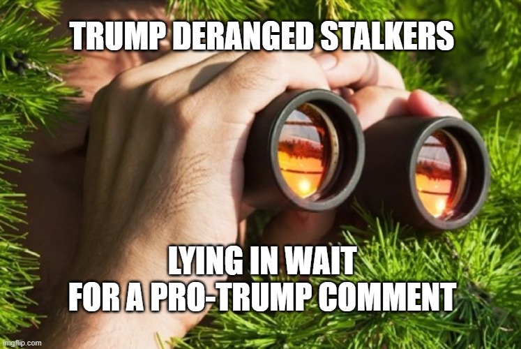 ex stalker | TRUMP DERANGED STALKERS; LYING IN WAIT FOR A PRO-TRUMP COMMENT | image tagged in ex stalker | made w/ Imgflip meme maker