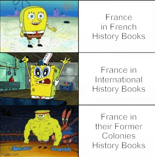 spongebob fight | France in French History Books; France in International History Books; France in their Former Colonies History Books | image tagged in spongebob fight | made w/ Imgflip meme maker