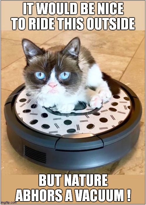 Grumpys Roomba Dream | IT WOULD BE NICE TO RIDE THIS OUTSIDE; BUT NATURE ABHORS A VACUUM ! | image tagged in fun,grumpy cat,roomba,nature,science | made w/ Imgflip meme maker