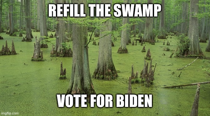 swamp | REFILL THE SWAMP; VOTE FOR BIDEN | image tagged in swamp | made w/ Imgflip meme maker