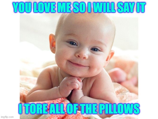 disaster baby | YOU LOVE ME SO I WILL SAY IT; I TORE ALL OF THE PILLOWS | image tagged in cute baby | made w/ Imgflip meme maker