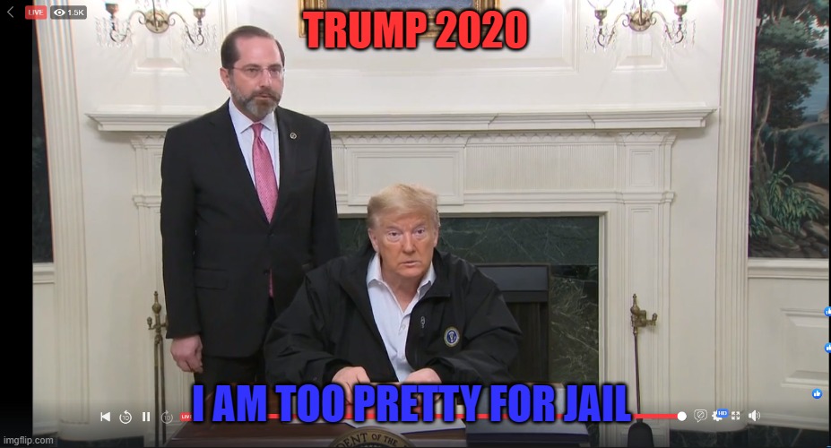 Trump | TRUMP 2020; I AM TOO PRETTY FOR JAIL | image tagged in donald trump | made w/ Imgflip meme maker