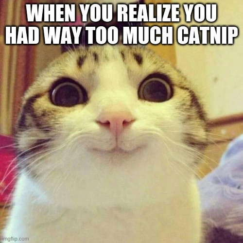 Smiling Cat | WHEN YOU REALIZE YOU HAD WAY TOO MUCH CATNIP | image tagged in memes,smiling cat | made w/ Imgflip meme maker