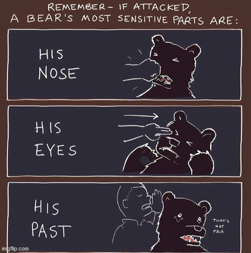 bears are sensitive | image tagged in repost,bears | made w/ Imgflip meme maker