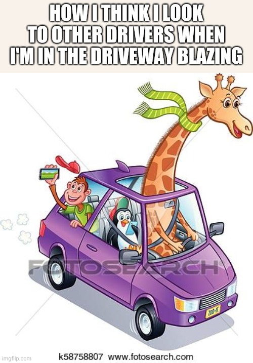 Wait what? | HOW I THINK I LOOK TO OTHER DRIVERS WHEN I'M IN THE DRIVEWAY BLAZING | image tagged in memes,funny memes,weed man,420 blaze it,goofy memes,too damn high | made w/ Imgflip meme maker