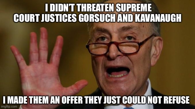 Chuck Schumer | I DIDN’T THREATEN SUPREME COURT JUSTICES GORSUCH AND KAVANAUGH; I MADE THEM AN OFFER THEY JUST COULD NOT REFUSE | image tagged in chuck schumer | made w/ Imgflip meme maker