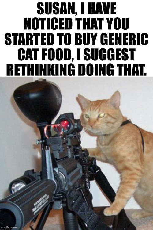 Cats really are finicky | SUSAN, I HAVE NOTICED THAT YOU STARTED TO BUY GENERIC CAT FOOD, I SUGGEST RETHINKING DOING THAT. | image tagged in cats,choose wisely | made w/ Imgflip meme maker
