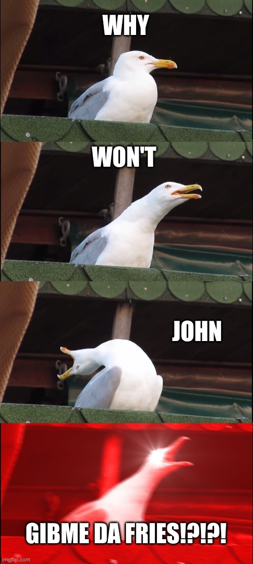 WTH JOHN! | WHY; WON'T; JOHN; GIBME DA FRIES!?!?! | image tagged in memes,inhaling seagull | made w/ Imgflip meme maker